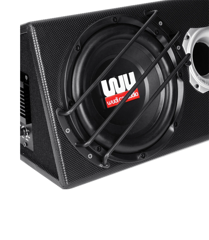 W10 Car Active Audio Stereo Subwoofer